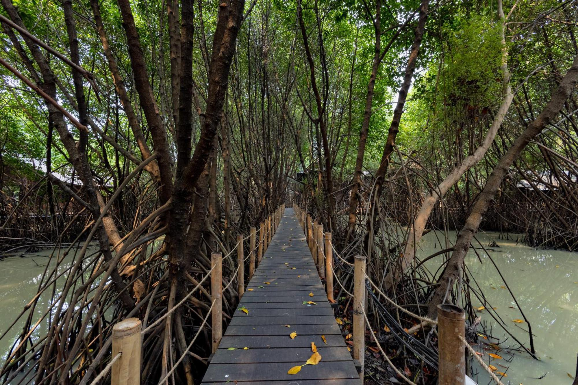 Reddoorz Resort @ Taman Wisata Mangrove Jakarta Extérieur photo